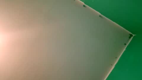 experttreecompany online show from 04.12.26