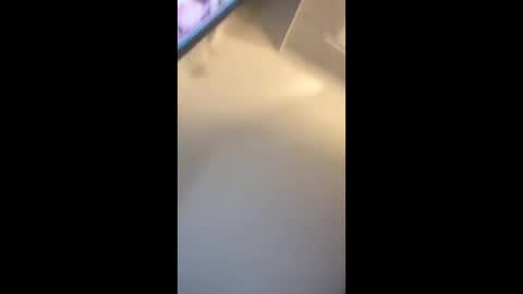 eyelyke2kream online show from 09.08.25