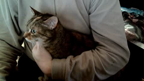 Fabius online show from 02.05.25