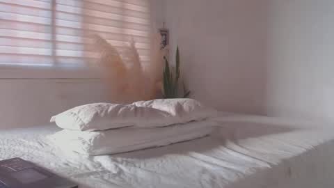 -  A N D E R online show from 01.20.25