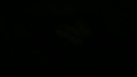 FABX online show from 10.18.25