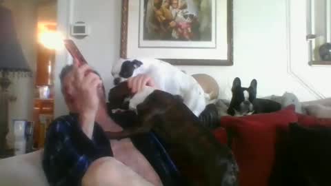 fairmount31 online show from 03.03.25