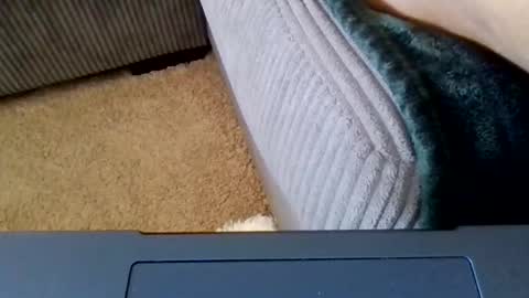 Caylenge online show from 04.21.26