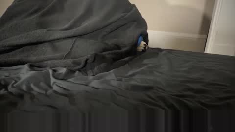 Fango online show from 01.12.26