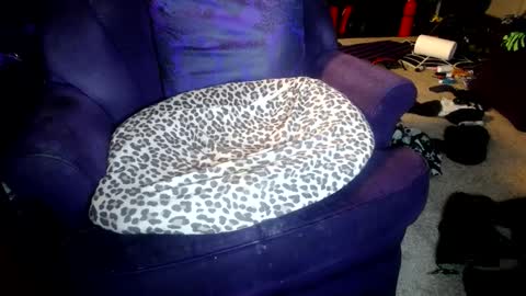 Farrah online show from 10.08.25