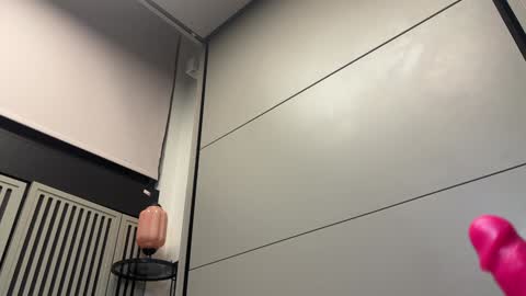 Gattino online show from 12.03.24