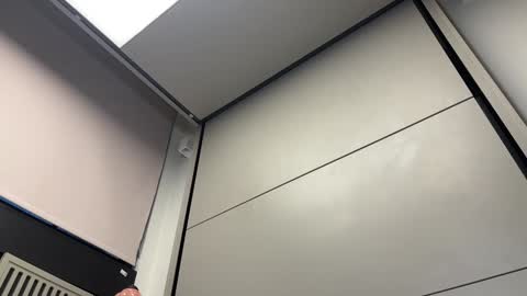 Gattino online show from 12.03.24