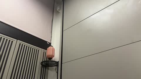 Gattino online show from 12.20.24