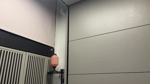 Gattino online show from 02.09.25