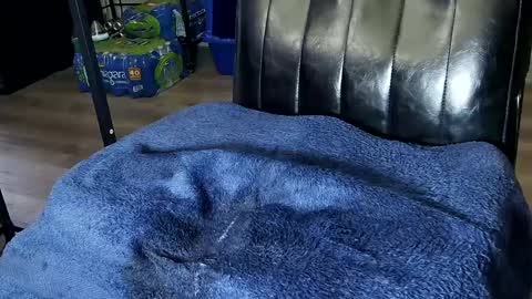 Sarah online show from 02.01.25