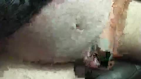 Snapshot of fatdaddy4you chatting on 09.20.25 fatdaddy4you online show from 09.20.25