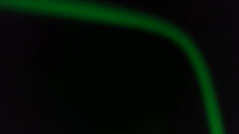 Fred. online show from 01.13.26