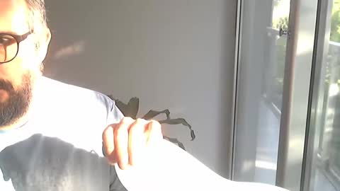 fedeGLOBOS online show from 02.13.26