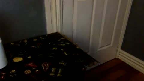 HairyBrownGuy online show from 02.08.26