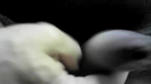 Snapshot of felicaste chatting on 09.17.25 felicaste online show from 09.17.25