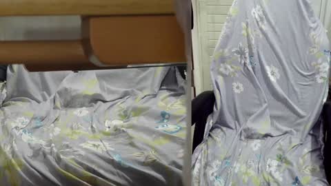 Snapshot of felixlau chatting on 12.23.24 felixlau online show from 12.23.24