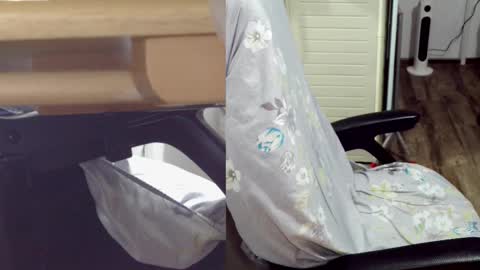 Snapshot of felixlau chatting on 02.15.25 felixlau online show from 02.15.25