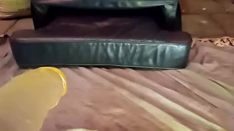 femboy710cum online show from 12.21.24