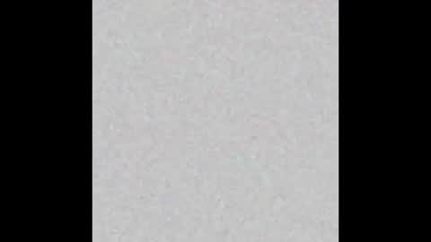 Snapshot of femboy_fangs chatting on 12.01.25 femboyfangs online show from 12.01.25