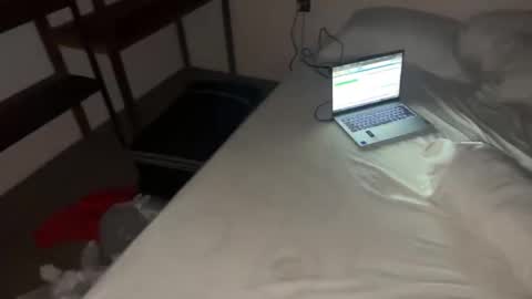 Dani online show from 11.12.25