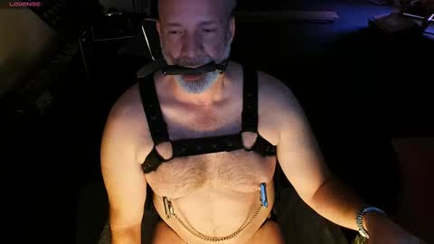 Piggy online show from 03.01.25