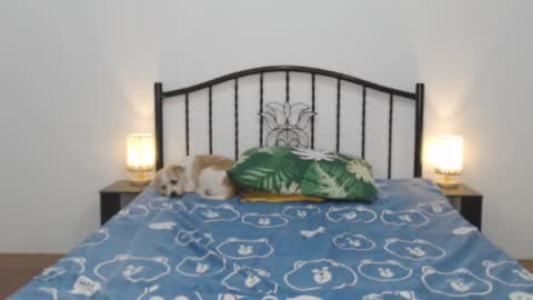 kaylee online show from 02.11.25