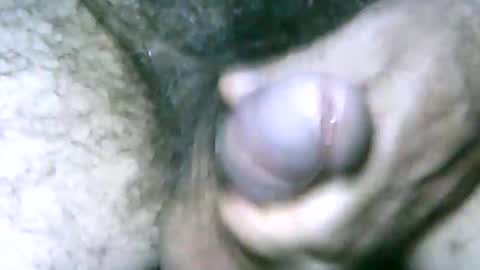 fer_2197 online show from 01.01.25