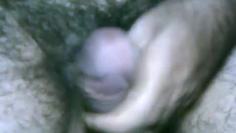 fer_2197 online show from 01.27.25