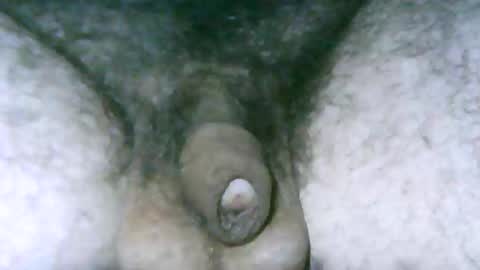 fer_2197 online show from 04.16.26