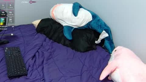 FE fee online show from 01.31.25