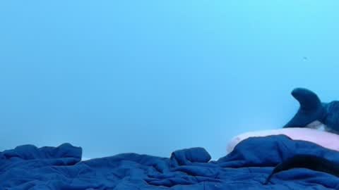 FE fee online show from 02.28.25