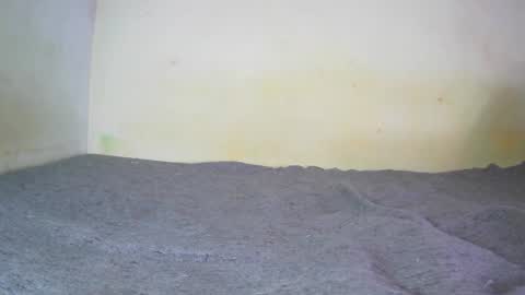 Snapshot of fernando_tlk chatting on 12.20.24 Fern Tlk online show from 12.20.24