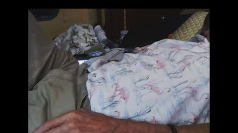 ferra_testarossa online show from 09.17.25