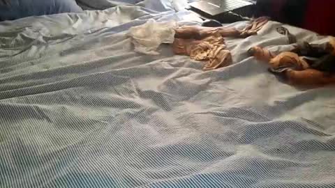 Snapshot of ffst0ckings chatting on 12.25.24 ffst0ckings online show from 12.25.24