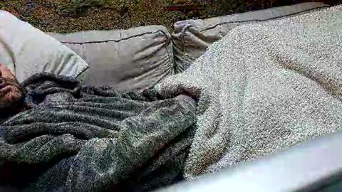 Fid online show from 02.24.25