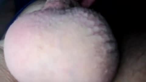 Nick online show from 02.11.25