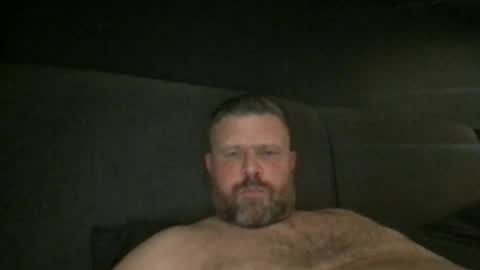 fin bear dom online show from 05.04.26