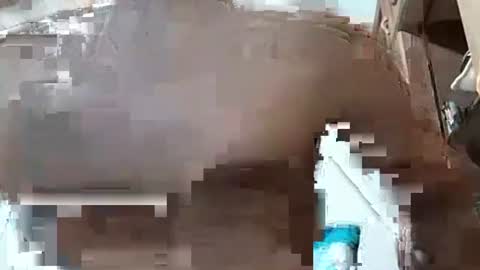 fitchestabs_69 online show from 12.07.24