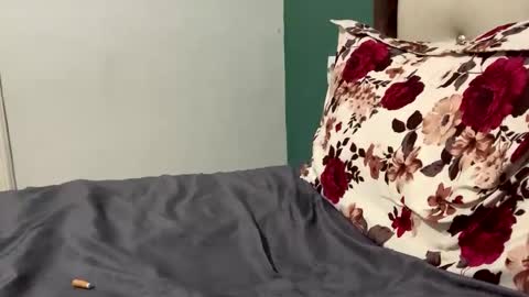 FittBoy online show from 03.28.26