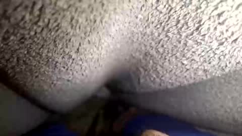 Snapshot of flaash_99 chatting on 03.02.26 flaash_99 online show from 03.02.26