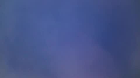 flavioandretti online show from 03.31.26