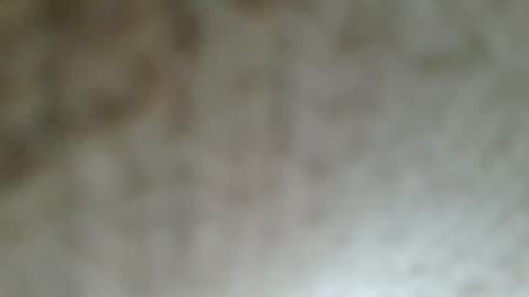 Snapshot of flyn12 chatting on 02.21.26 flyn12 online show from 02.21.26