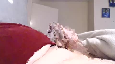 Snapshot of frankiel745 chatting on 12.09.24 frankiel745 online show from 12.09.24