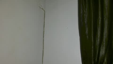 Snapshot of freaky_luna chatting on 04.03.26 luna online show from 04.03.26