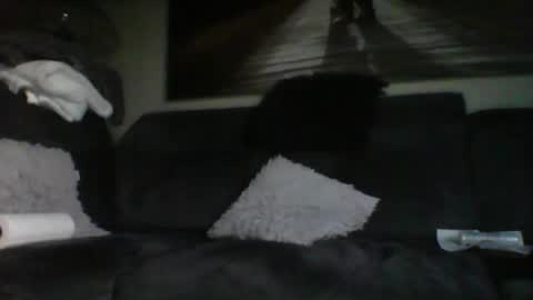 Snapshot of fredo76491 chatting on 10.31.25 fredo76491 online show from 10.31.25