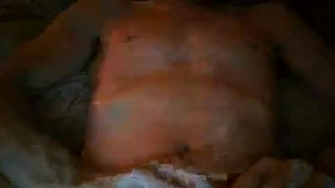 free willy online show from 11.17.25