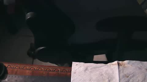 Snapshot of freetryal chatting on 11.21.25 freetryal online show from 11.21.25