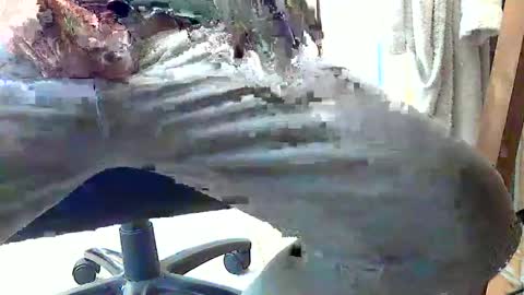 Snapshot of frenchpapalover chatting on 02.28.25 frenchpapalover online show from 02.28.25