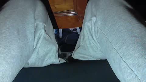 Snapshot of frenchpapalover chatting on 10.31.25 frenchpapalover online show from 10.31.25