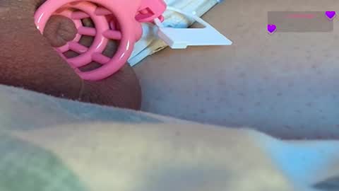 Meadow online show from 03.09.25